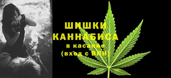 дживик Аркадак