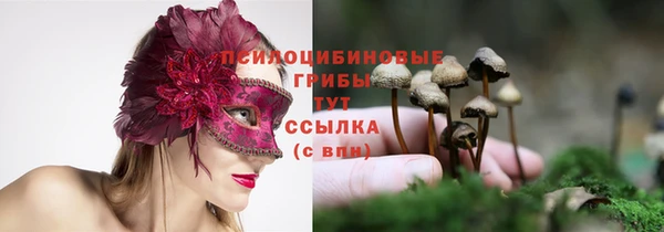 не бодяженный Армянск