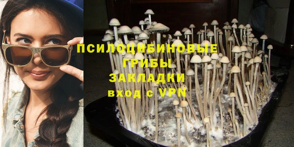 не бодяженный Армянск
