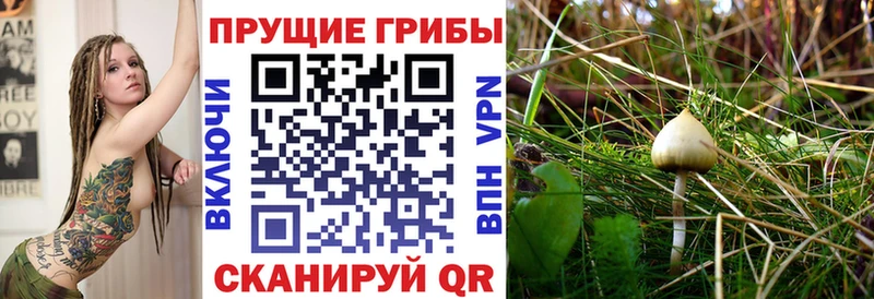 Псилоцибиновые грибы мухоморы  Починок 