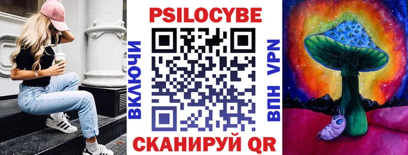 Псилоцибиновые грибы Cubensis Починок