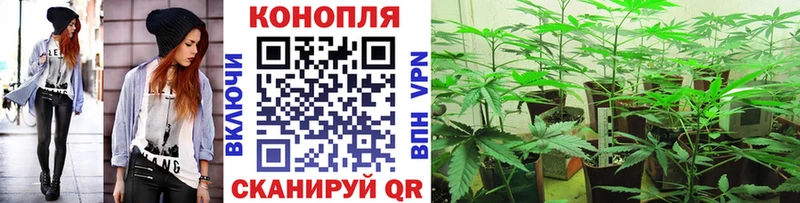 Конопля марихуана  shop наркотические препараты  Починок 